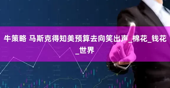 牛策略 马斯克得知美预算去向笑出声_棉花_钱花_世界