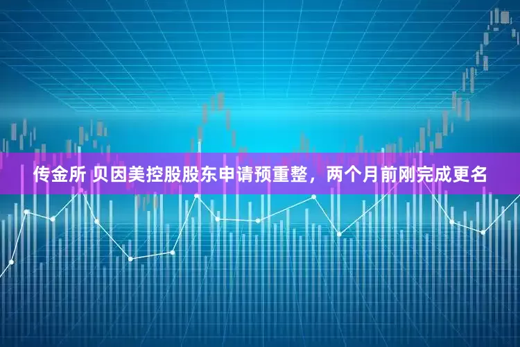 传金所 贝因美控股股东申请预重整，两个月前刚完成更名