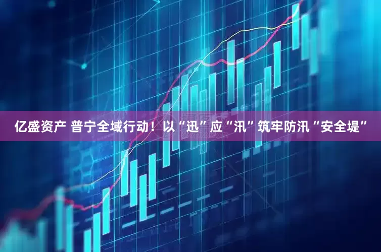 亿盛资产 普宁全域行动！以“迅”应“汛”筑牢防汛“安全堤”